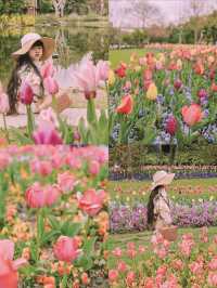 3月中旬不要錯過上海市區的這片鬱金香花海