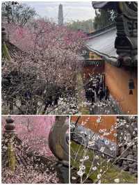 台州之旅已結束，分享一些真實感受，跟著音樂去旅行