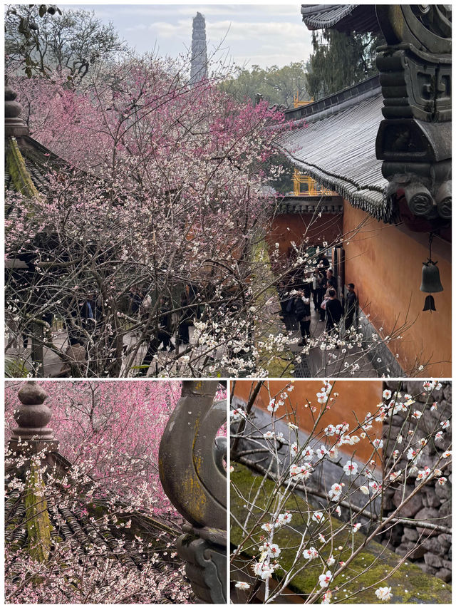 台州之旅已結束，分享一些真實感受，跟著音樂去旅行