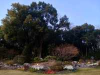 Lu Xun Park in Shanghai: A Must-Visit in China 🇨🇳🌳