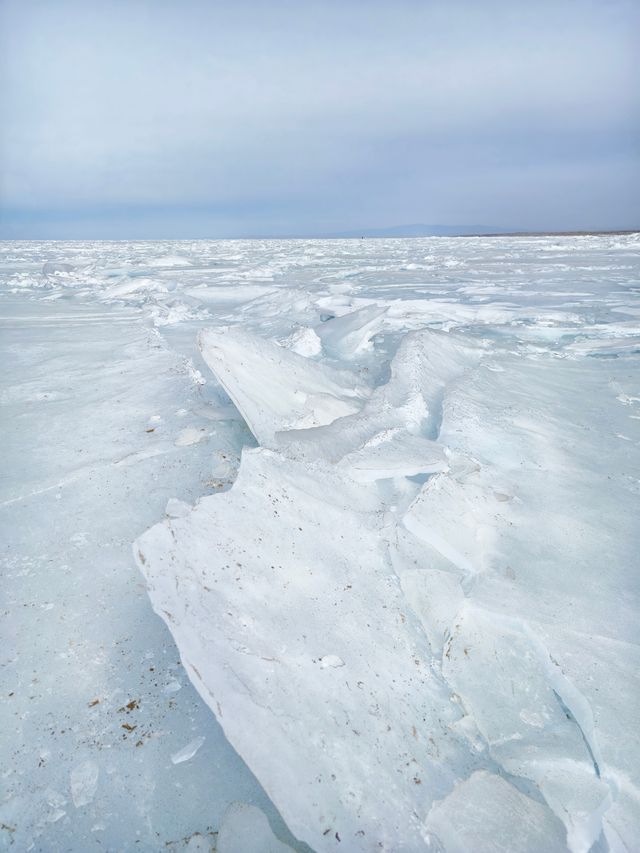 反向遊之青海湖