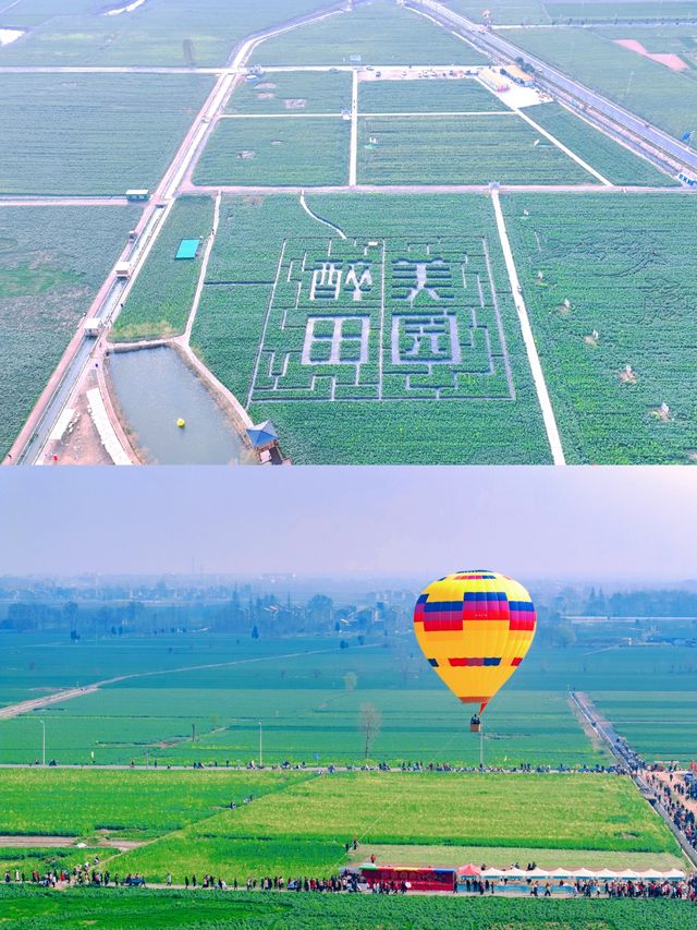 2025雲夢縣油菜花海文化旅遊節