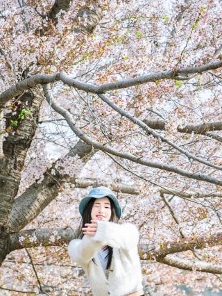 大連桜まつり｜一秒でピンク色のメルヘンワールドへ