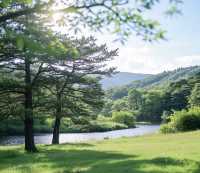 泗川高麗海桑國家公園裡遊山玩水，上天下海