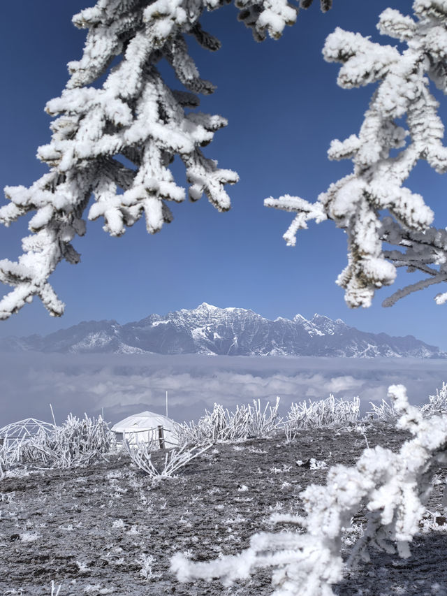 牛背山+四姑娘山5天4晚。
川西360°雪山觀景平台Top1——牛背山
