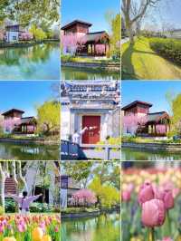 盤點上海十大美景鬱金香公園之｜閘北公園