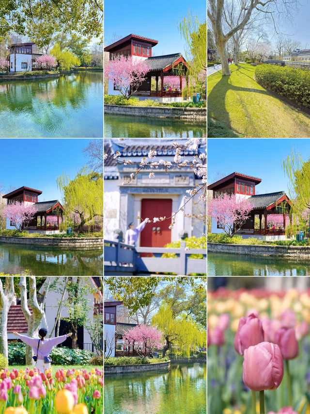 盤點上海十大美景鬱金香公園之｜閘北公園