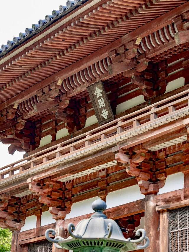 禪意與時光的交織：探訪天野山金剛寺