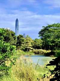 潮汐之間的綠色詩篇：紅樹林海濱生態公園漫遊記