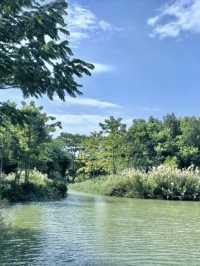 潮汐之間的綠色詩篇：紅樹林海濱生態公園漫遊記