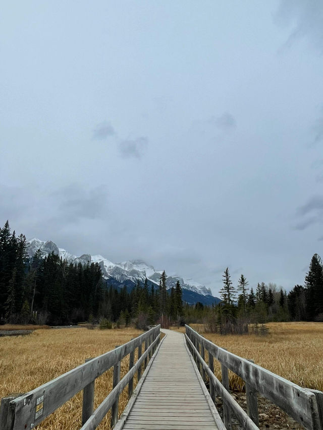 邂逅洛磯山脈的夢幻小鎮——加拿大坎莫爾旅遊攻略