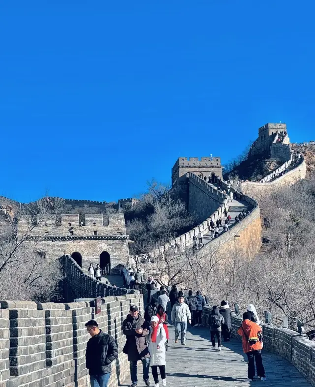 北京已回、能救一個是一個