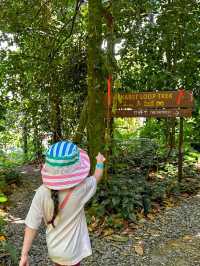 Singapore's New Rainforest Adventure Park Opens!