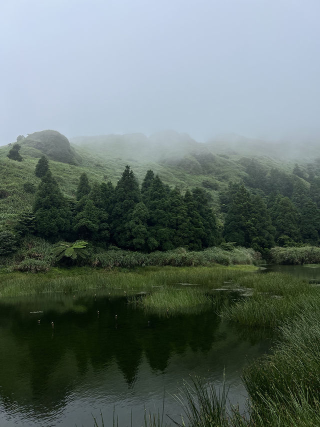 台北陽明山1日遊攻略🌋小油坑/夢幻湖/擎天崗