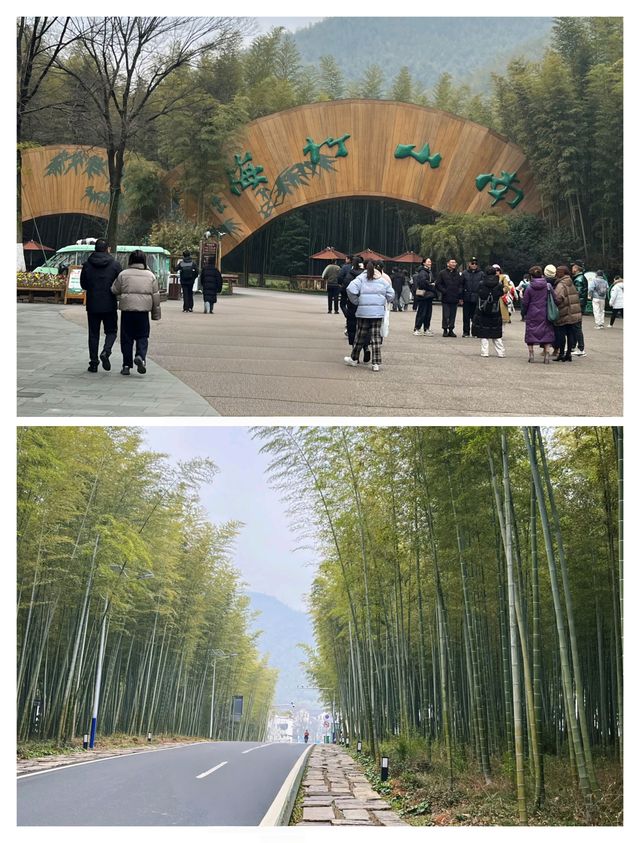 溧陽御水溫泉，隱藏在竹海裡的避世桃源。