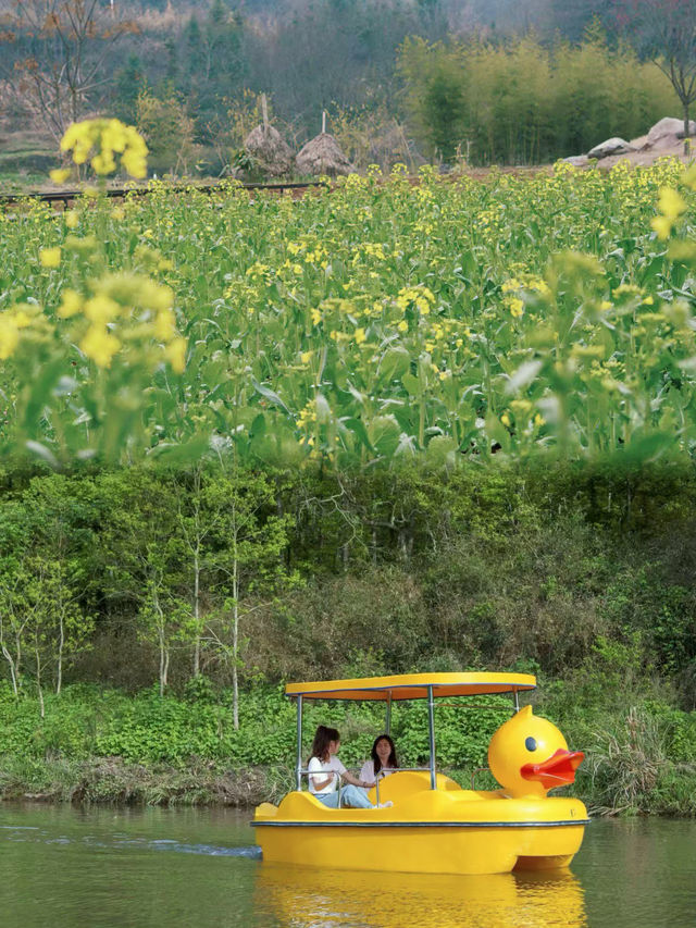 超能回血地，擁抱春日自由氣息