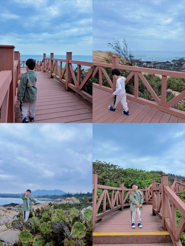 昌江｜解鎖絕美海岸線｜賞木棉花｜度假