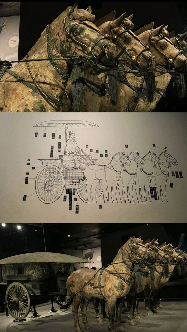 你來看留存千古的百萬大軍了嗎