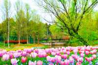 東平國家森林公園 | 闖入綠野仙蹤，擁抱森林氧吧