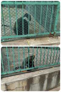 秦皇島 | 野生動物園