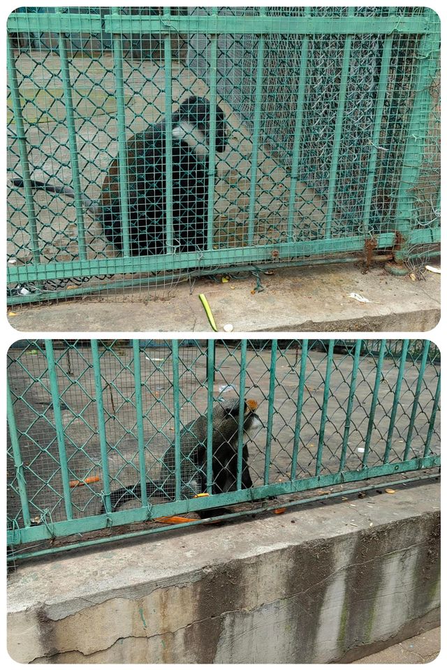 秦皇島 | 野生動物園