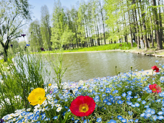 共青森林公園｜自然景觀＆休閒娛樂