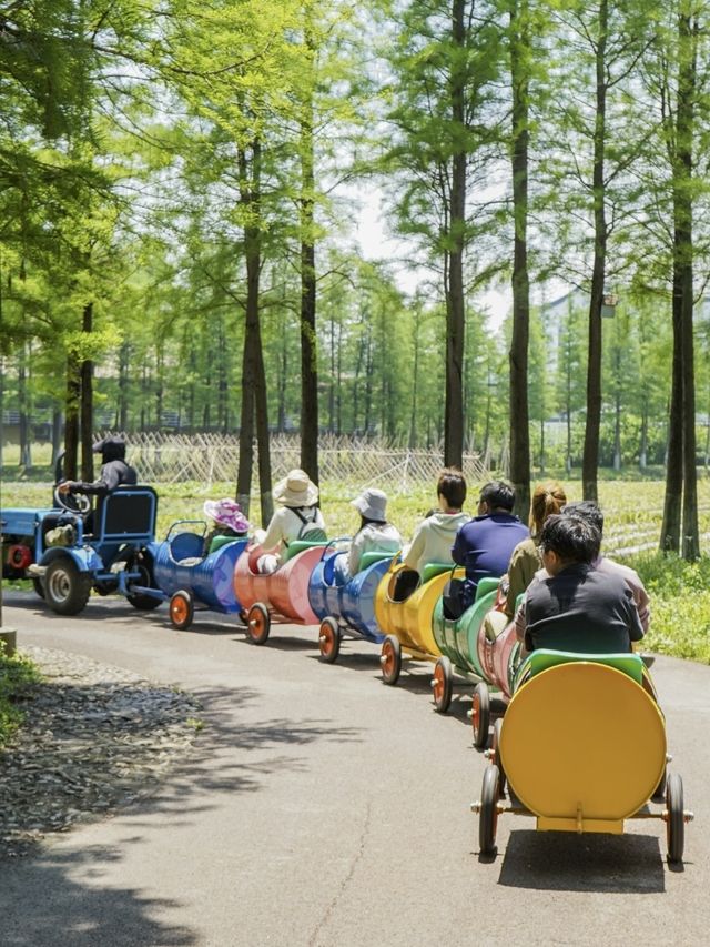 五一嗨翻烏村！超多活動等你來