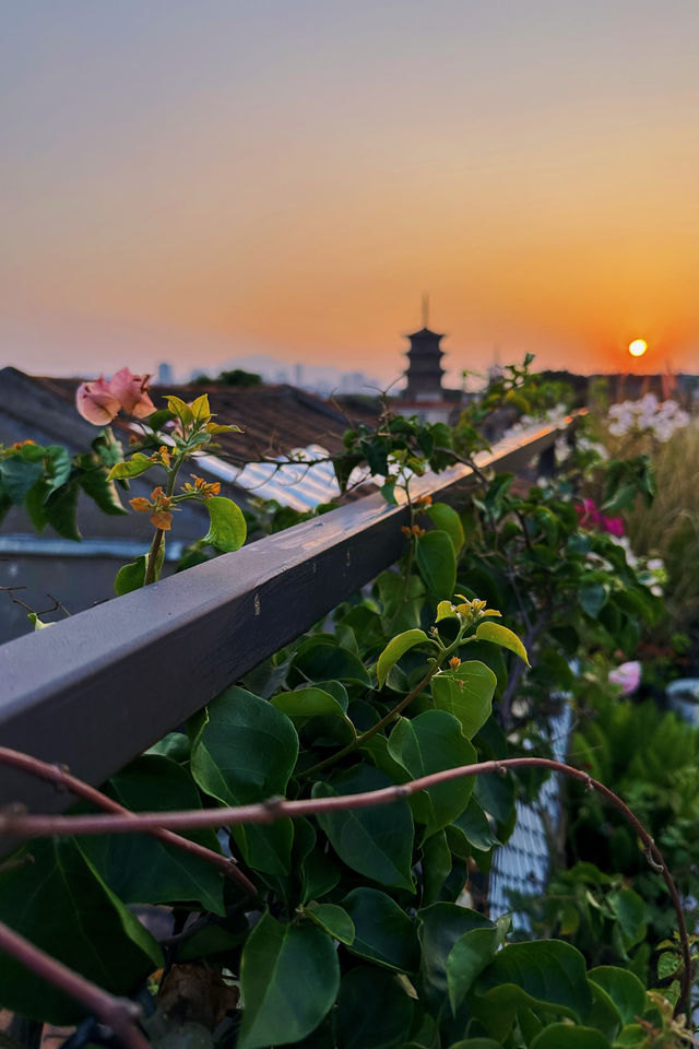 泉州古城｜這西街上拍夕陽的機位如何？！