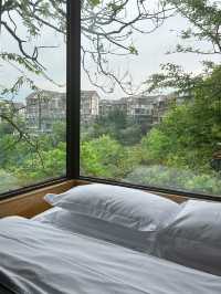 峨眉七里坪住童話森林樹屋偶遇大山精靈梅花鹿