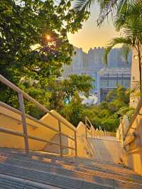香港離島，來南丫島這樣遊玩~~！！！
