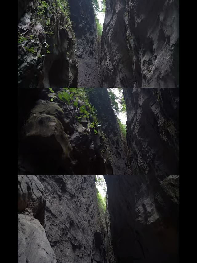 震驚洞見816真的好讚！