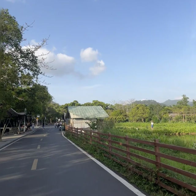 中山旗溪生活農場｜藏在鄉野的慢時光避世指南☕️