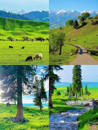 Panoramic Tour of Northern and Southern Xinjiang + Highlights of Duku Highway (20 Days)
