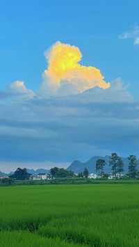 峰林為幕·稻浪為席——萬峰林田園生活真的很美