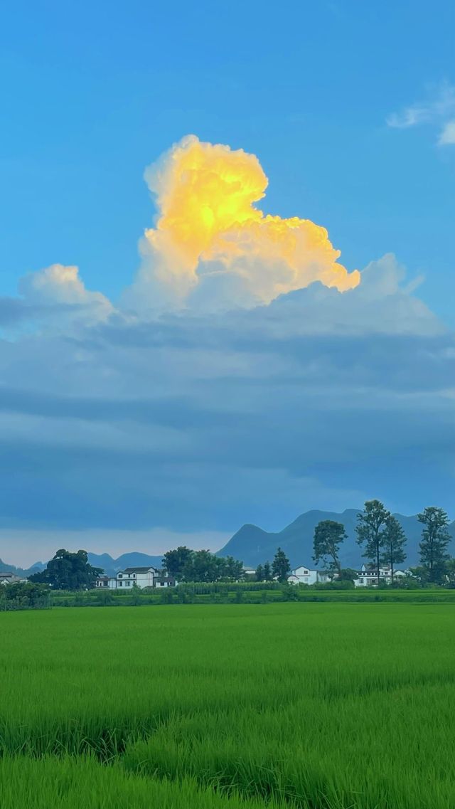峰林為幕·稻浪為席——萬峰林田園生活真的很美