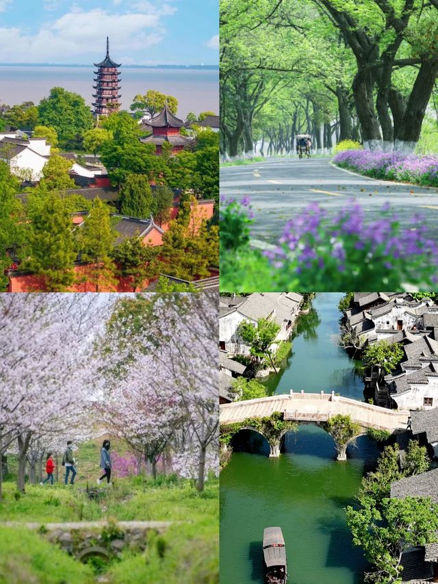 五一去邊 | 來一場說走就走的觀潮之旅吧