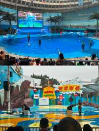 成都極地海洋公園