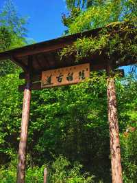 逃離城市計劃|陸羽古道徒步全攻略