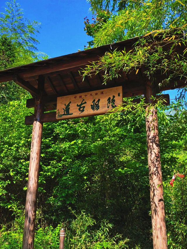 逃離城市計劃|陸羽古道徒步全攻略