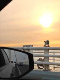 上海崇明島‖躺平遊