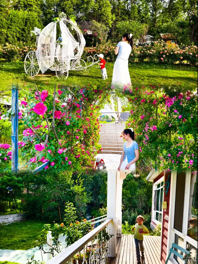 人生可以去幾次揚州！錯過就太可惜啦！