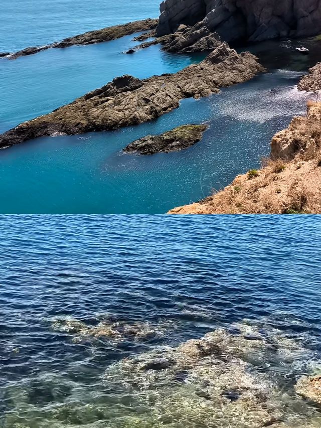 連夜整理5月大連旅行天花板攻略！附避坑