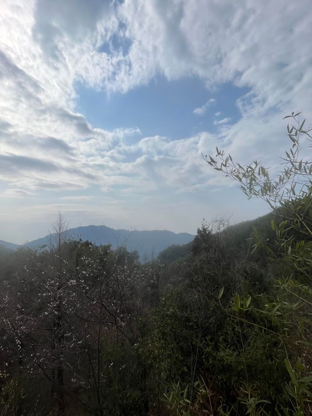 咸寧黃龍山