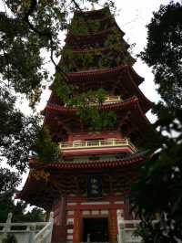 尋味山海間，解鎖溫州的隱秘浪漫
