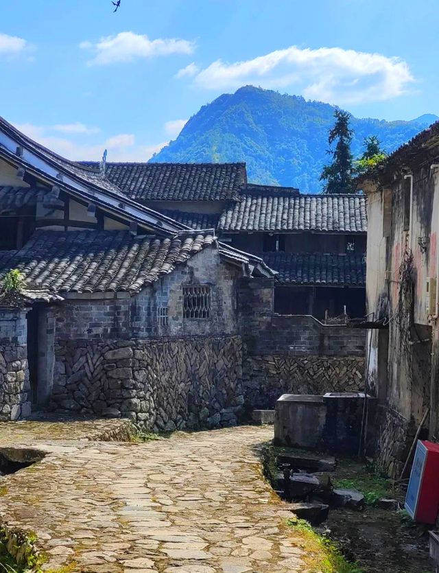 終於搵到屬於我嘅桃花源，你尋到未？