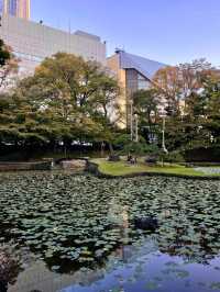 東京小石川後樂園交通攻略：輕鬆抵達江戶風情的日式庭園  