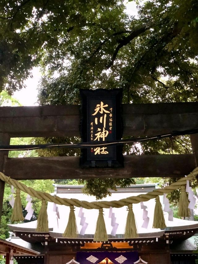 東京出發！川越小江戶交通攻略 