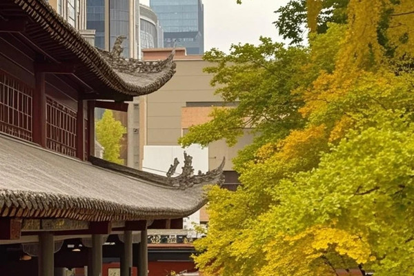 成都之旅|Trip.com 成都