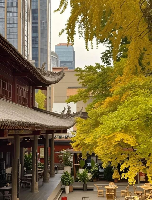 成都之旅