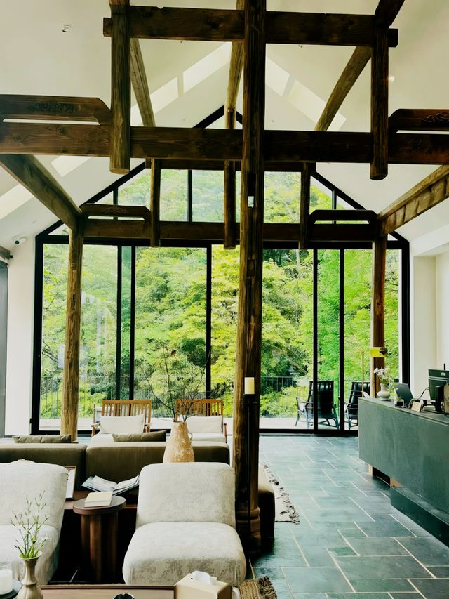 青城後山！隱藏喺密林中嘅小屋！好治癒！